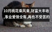 10月桃花乘风而来,带来丰盈的财富,同时满载事业和爱情的灿烂,让你告别苦难岁月!