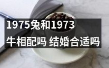 1975年出生的兔子与1973年出生的牛结婚是否兼容?会得到幸福婚姻吗?