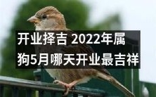 2022年属狗者开业择吉攻略:深度分析,探讨5月哪一天开业最具吉祥之兆
