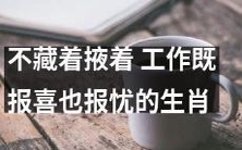 以真实面对工作的态度,生肖不仅分享喜悦,也敢于表达忧虑