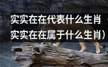 哪个生肖象征着真正的实际意义和物质价值?