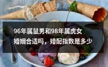 根据生肖理论,96年出生的属鼠男和98年出生的属虎女合婚合适与否?婚姻匹配指数如何评估?