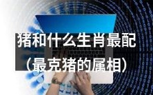 哪个生肖和猪最不相配?