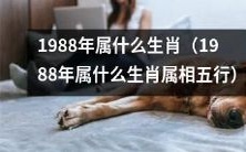 回顾历史,探究1988年属相及其五行属性