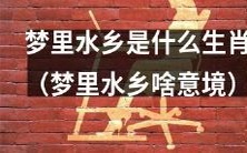 若在梦中出现水乡意境,那么这代表着什么生肖?