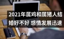 2021属鸡和属猪人的婚姻,是否能够成就美满幸福?他们是否会在感情上迅速达成默契?
