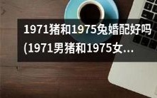 这样的婚配适合1971年生的男猪和1975年出生的女兔吗?