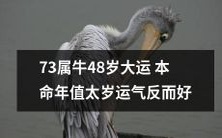 在73岁属牛人48岁的大运本命年,反常的运势让太岁不再成为压力,反倒带来了好运