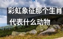 彩虹的象征意义中,是否包含了代表何种动物的生肖?