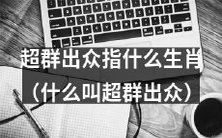 什么样的生肖被认为是超群出众?