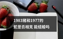 1983年出生的猪和1977年出生的蛇之间是否存在相克,并且是否有可能发展成婚姻关系?