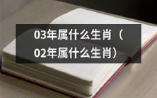 请问2003年和2002年的生肖是什么?