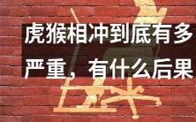 虎猴相冲之危害有多严重?如果不及时处理,可能会导致哪些不良后果?