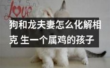 如何化解狗和龙夫妻的相克,以迎接诞生属鸡孩子的挑战?
