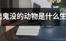 神秘、神出鬼没的动物究竟属于哪个生肖类型?