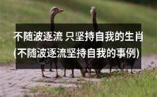 坚守自我,不随波逐流:探寻生肖中的典型案例