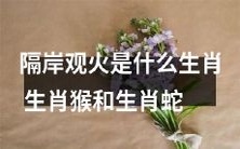 当遇到难题时,生肖猴和生肖蛇的人养成了隔岸观火的习惯:他们究竟是如何利用这种习性来克服困境的?