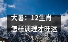 如何在大暑期间调理12生肖以获得旺运?