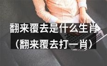 你知道翻来覆去这个谜语指的是哪个生肖吗?