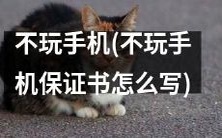 如何成功不沉迷于手机,达到提高效率、保障健康生活以及获得更多自由时间的目标?一份不玩手机保证书的撰写流程详解!