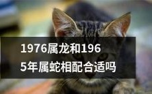 龙与蛇配对:1976属龙和1965年属蛇,究竟是否适宜?