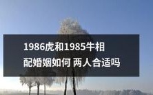 1986年出生的虎和1985年出生的牛,会不会在婚姻中形成完美的组合?