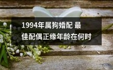 在1994年,作为属狗的人们寻找最佳配偶的正缘年龄是什么时候?