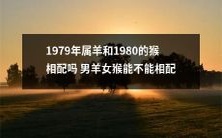 男属羊女属猴是否适合相互搭配?1979年的属羊与1980年的属猴是否具有良好的相克关系?