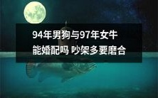 如何解决94年男狗与97年女牛的婚配问题?磨合是关键,但吵架频繁也是挑战!