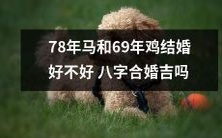 78年马和69年鸡的八字是否相合适宜结婚,会不会对夫妻关系产生影响?