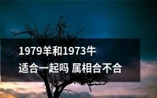 1979年出生的羊和1973年出生的牛是否属相相容,合适一起生活?