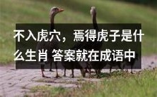 探究生肖之谜:不入虎穴,焉得虎子?成语坐标揭示真相!