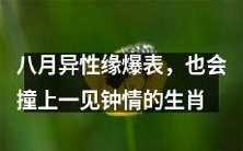 时逢八月异性缘红火,恰好碰见一见钟情的星座