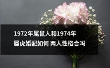 1972年出生的属鼠人与1974年出生的属虎人匹配度如何?从性格角度来看是否相容?