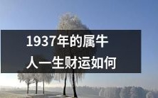 1937年出生的属牛人的财富运势究竟如何?