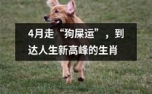 四月好运连连,达到人生新巅峰的幸运生肖