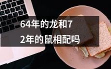 龙与鼠:询问64年与72年生肖的是否兼容的比较