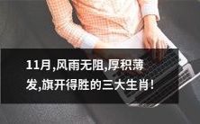 11月不畏风雨,不断积累,迎来胜利旗帜的三大生肖!