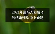 2021年属马人和属马的结婚是中上等婚配吗?探讨结婚前的必备知识和相互匹配因素