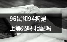 能否将96年生肖鼠和94年生肖狗视为相得益彰、天作之合的优秀姻缘?