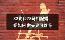 如何处理82只狗和78匹马的配偶关系,以确保它们能够和平相处,成为快乐的夫妻?