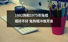 1982年出生的狗和1975年出生的兔子的婚姻成功概率如何?究竟是兔子克制了狗,还是狗胜出?