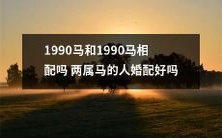 1990年出生的两只属马的配对是否适合?他们的婚姻是否能够获得成功?