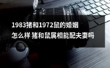 猪和鼠属相的结合——探讨1983年猪和1972年鼠的婚姻是否可行?