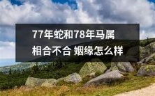 马和蛇属相:探究其恋爱婚姻配对可行性于1977和1978年份?