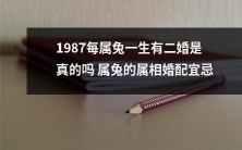 1987年出生的属兔人是否真的会迎来两次婚姻?探究属兔人的婚配宜忌与属相相克相容的知识