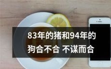 经过无数次机缘巧合,83年出生的猪和94年降生的狗在擦肩而过、相遇重逢之后,竟然不期而遇、相爱相守!