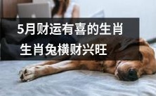 威名赫赫的5月财源滚滚来袭,喜星高照的生肖中幸运之兔搭乘好运飞奔,金钱之路异常亮丽,财富滋润生活美滋滋