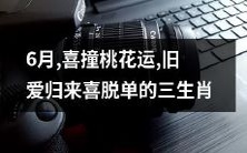 6月喜迎桃花运,旧爱归来喜破脱单魔咒,三生肖共同分享幸福时光