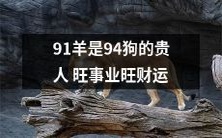 91年出生的羊,是94年出生的狗的吉祥之星,能为其招来事业发展和财运兴旺